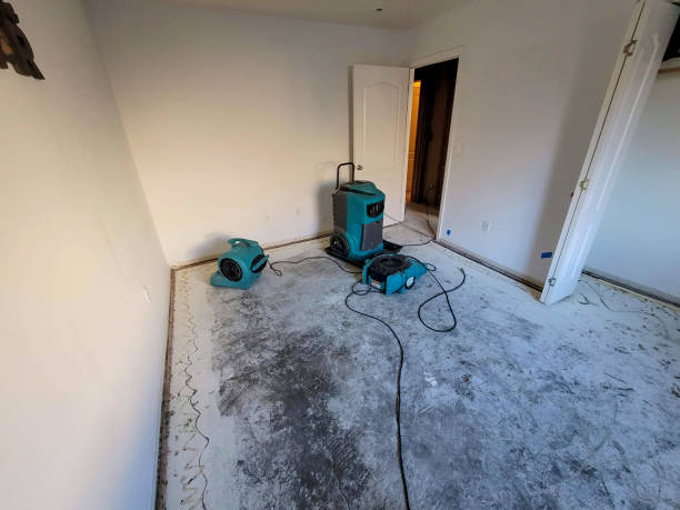 Best 24/7 water damage repair  in Griswold, IA