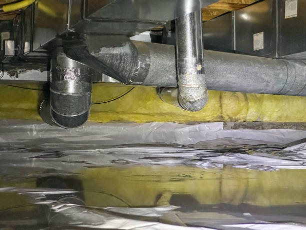 Best Water damage cleanup near me  in Griswold, IA